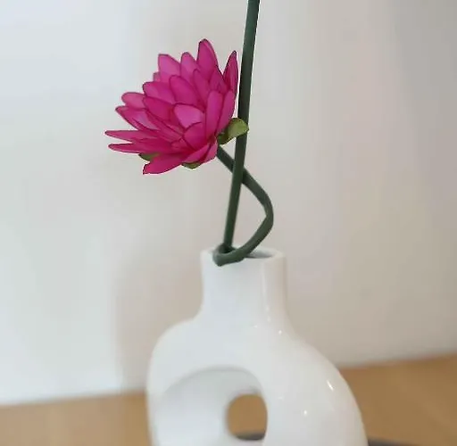 Ruza Макарська